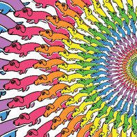 Rainbow Doggy Disco